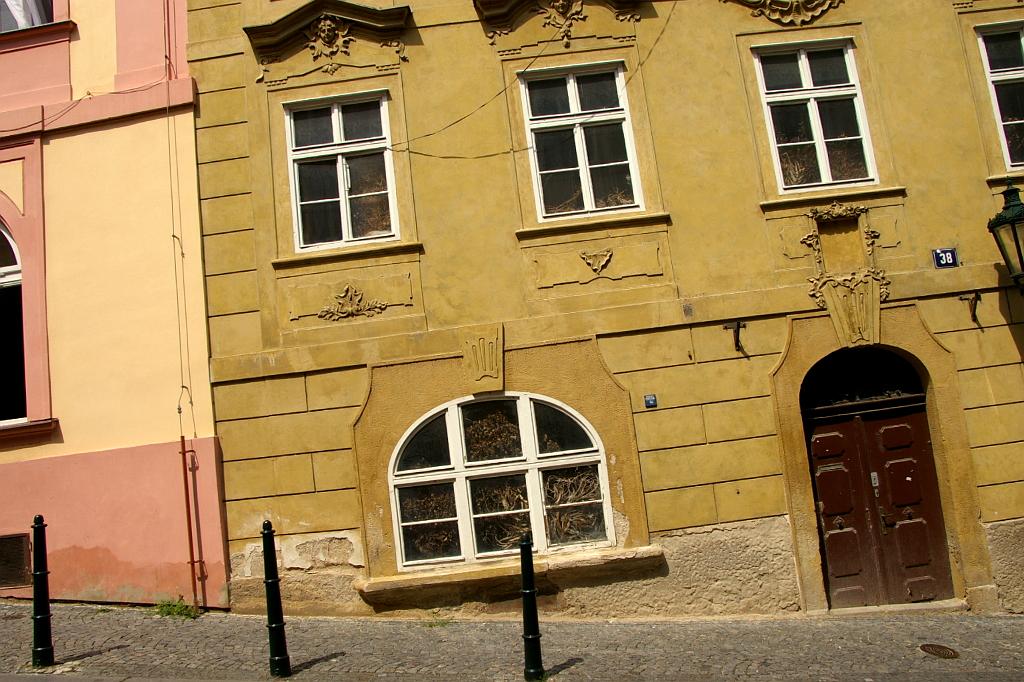 IMGP5931