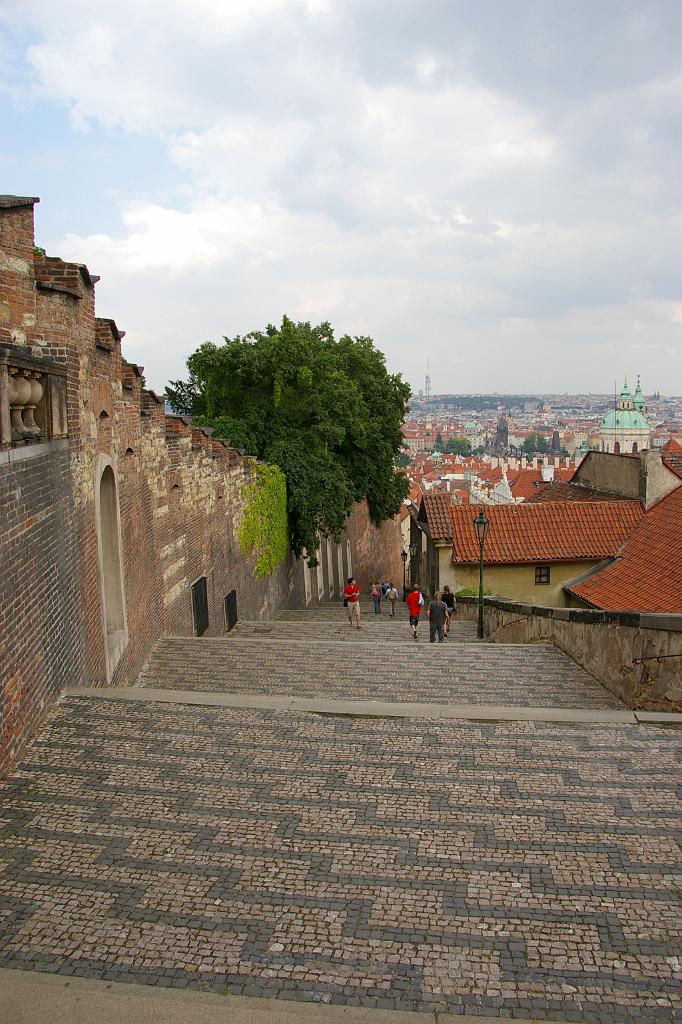 IMGP6243