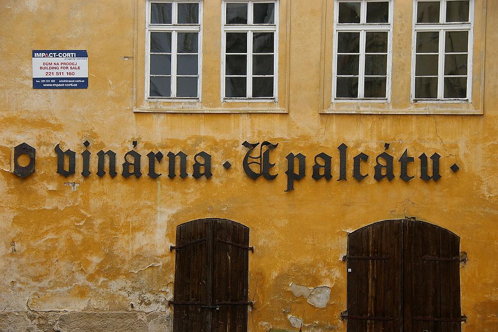 IMGP6263