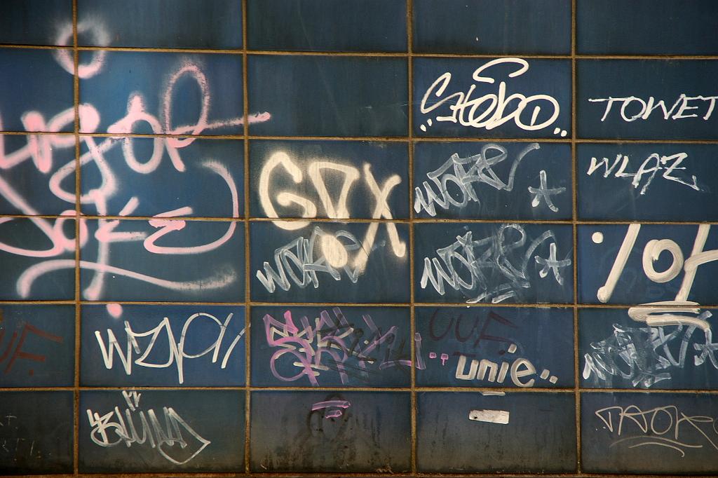 IMGP7873