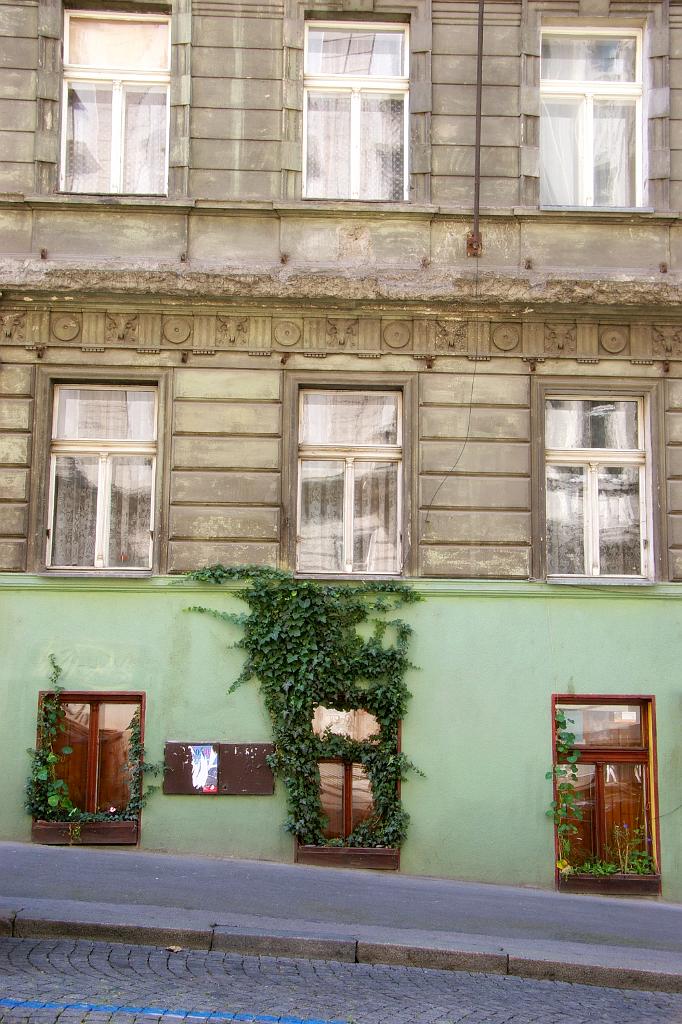 IMGP7904