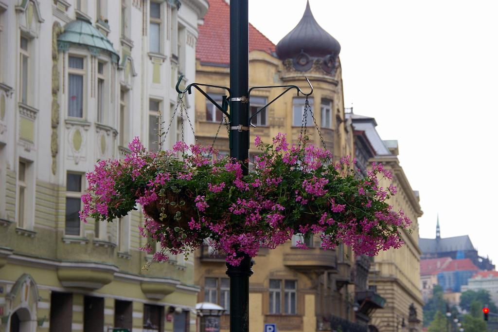 IMGP4978