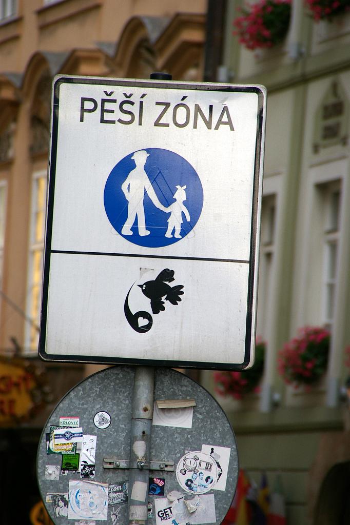 IMGP6573