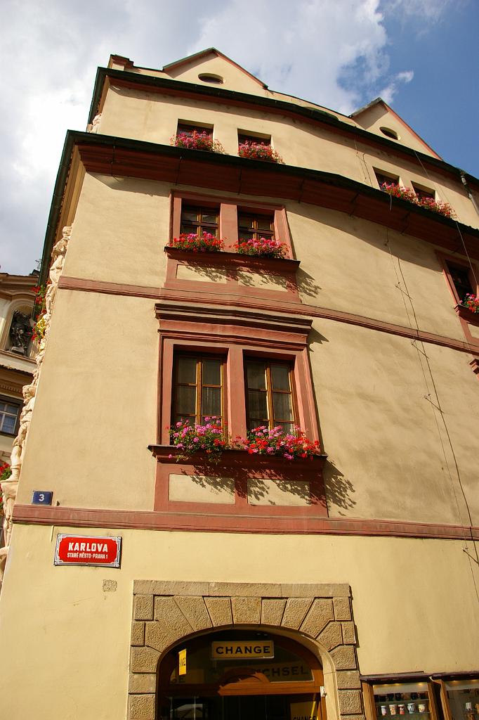 IMGP6584