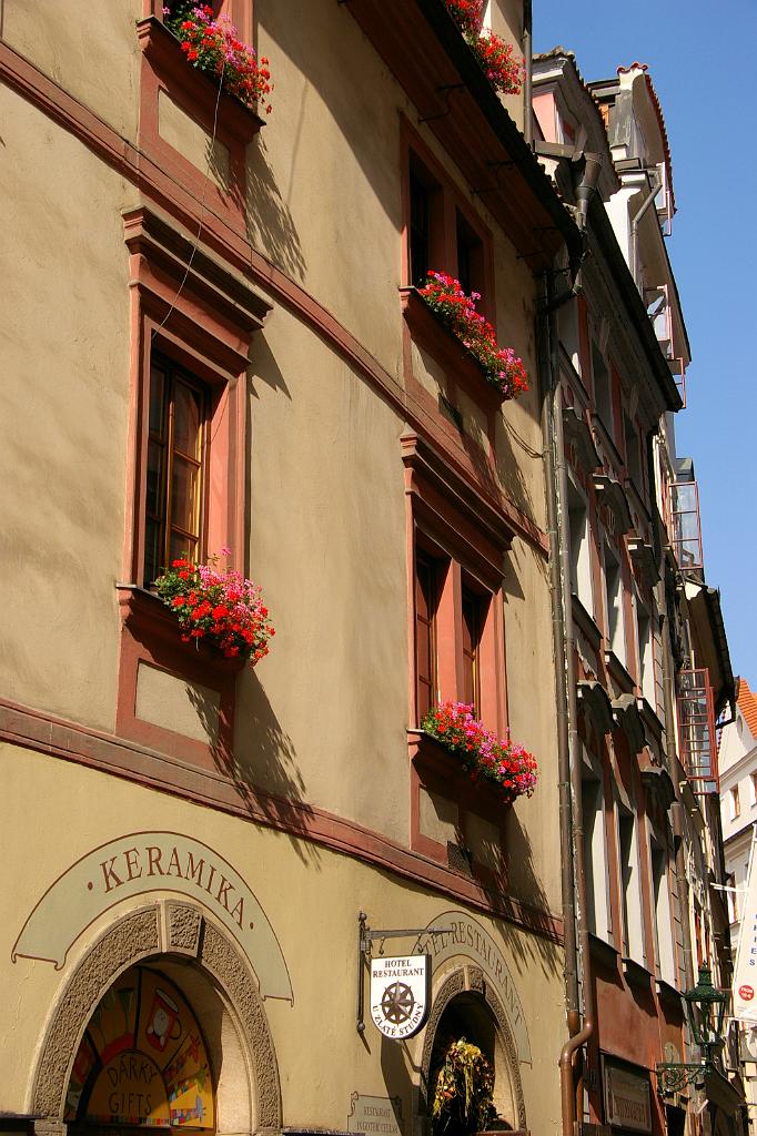 IMGP6586
