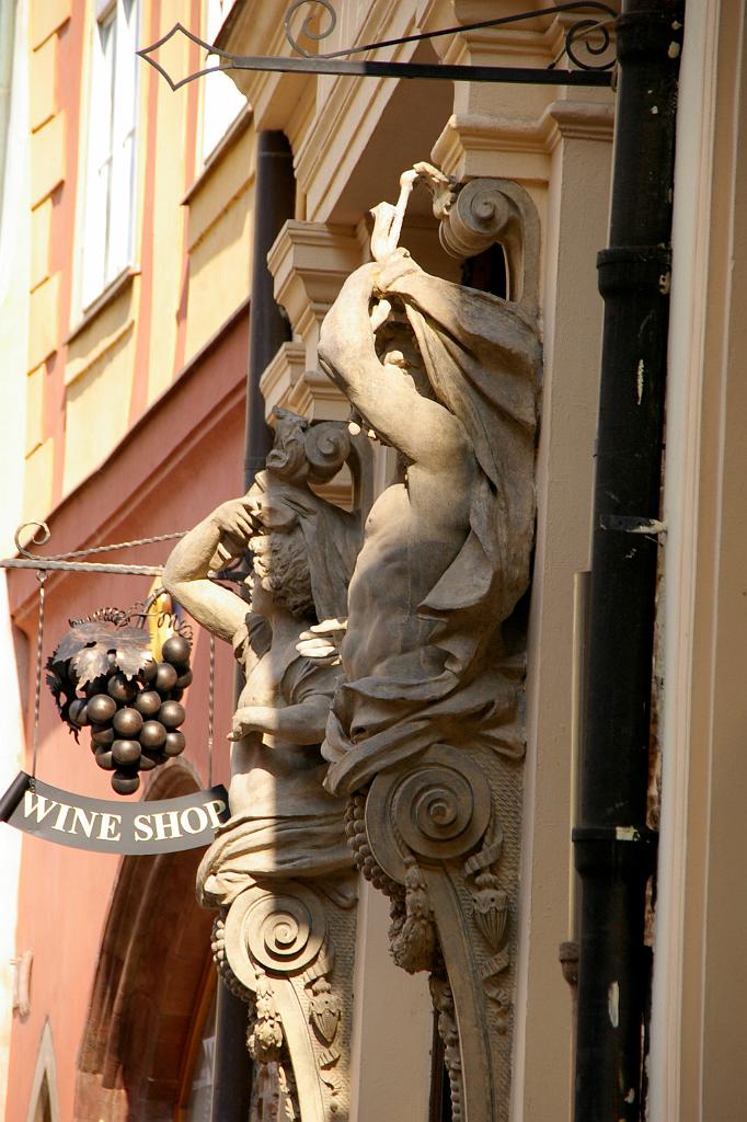 IMGP6598