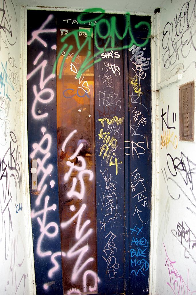 IMGP6875