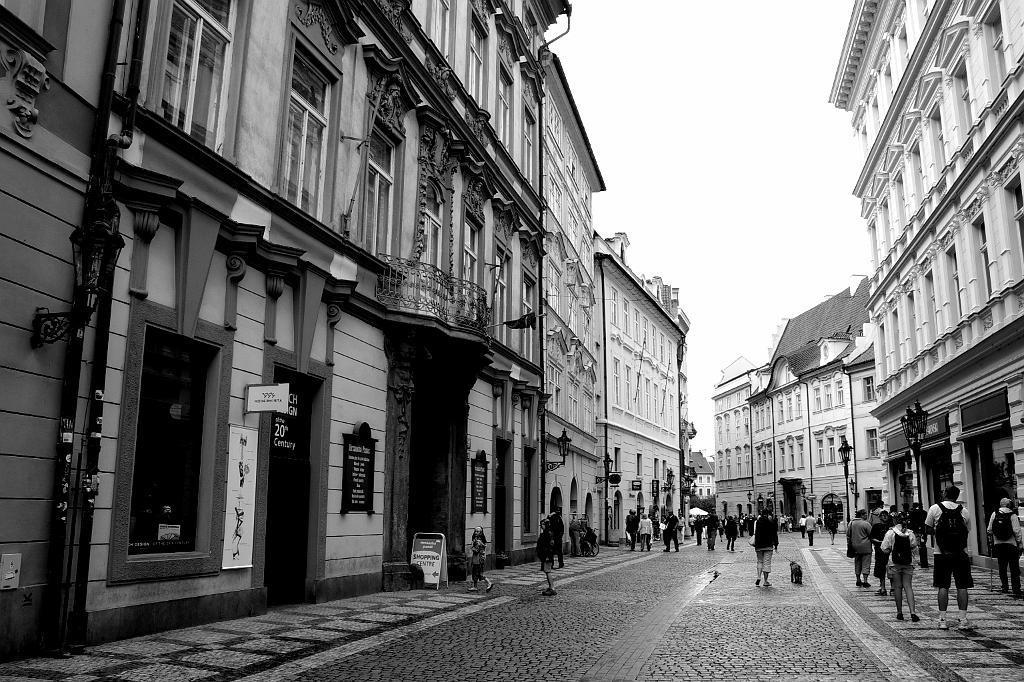 IMGP8531