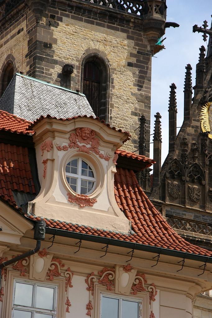 IMGP5677
