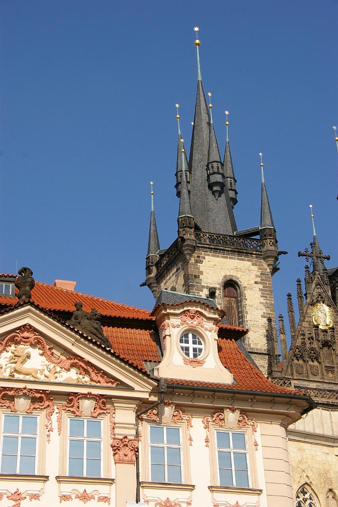 IMGP6685