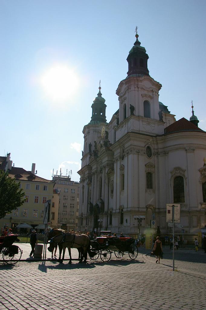 IMGP6693