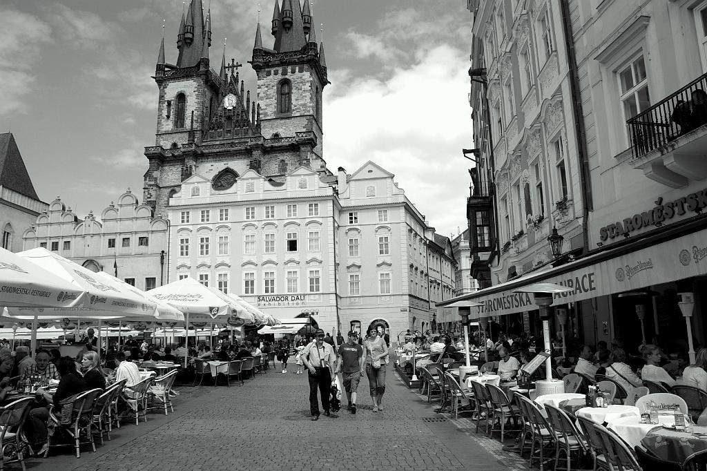 IMGP6892