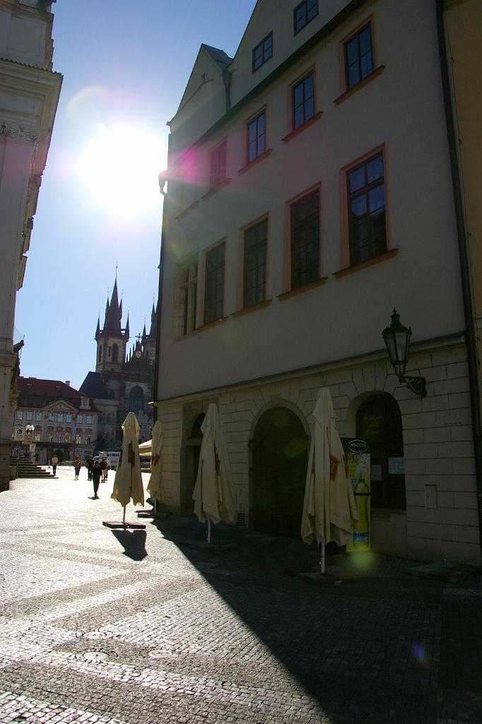 IMGP8810