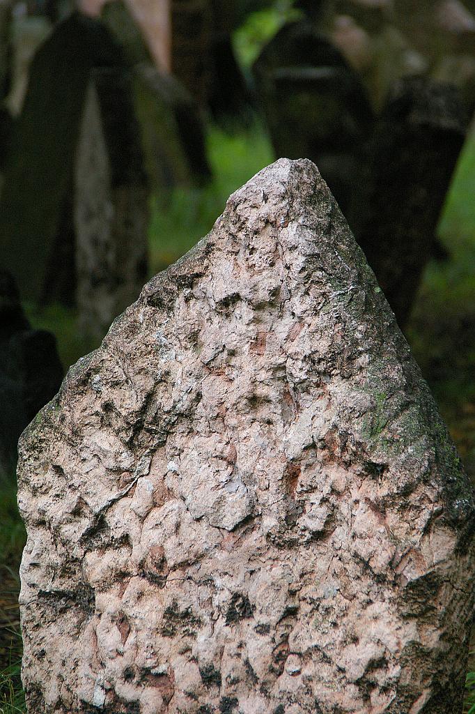 IMGP5014