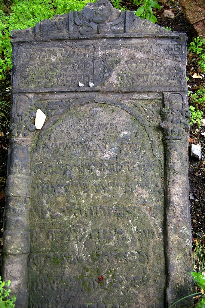 IMGP5022