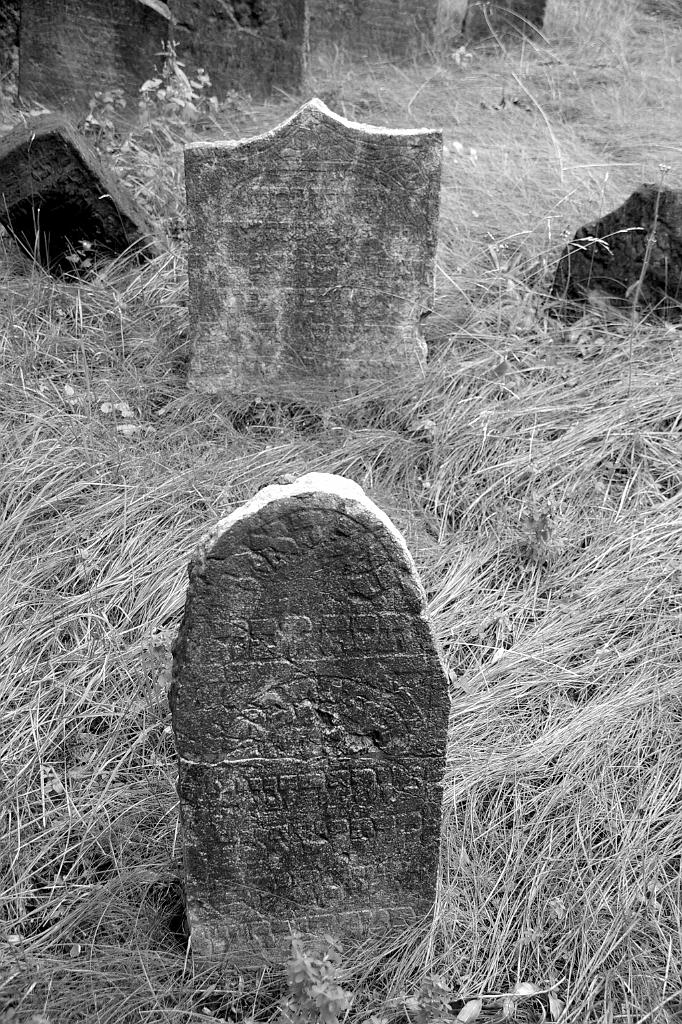 IMGP5058