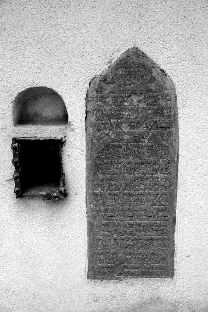 IMGP5063