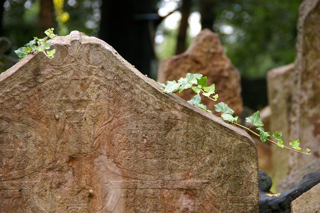 IMGP5076