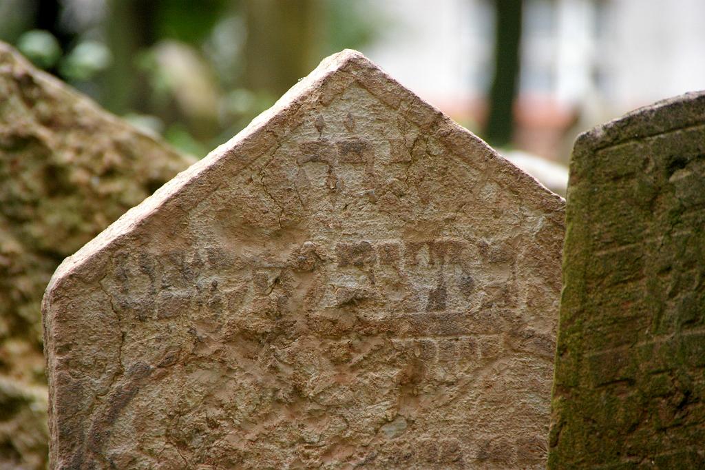 IMGP5117