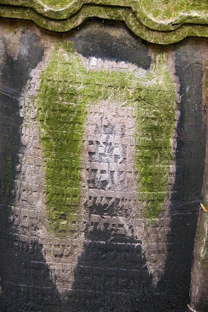 IMGP5146