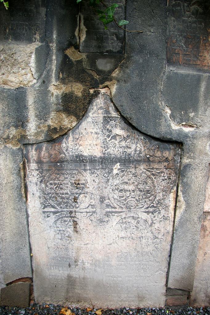 IMGP5186