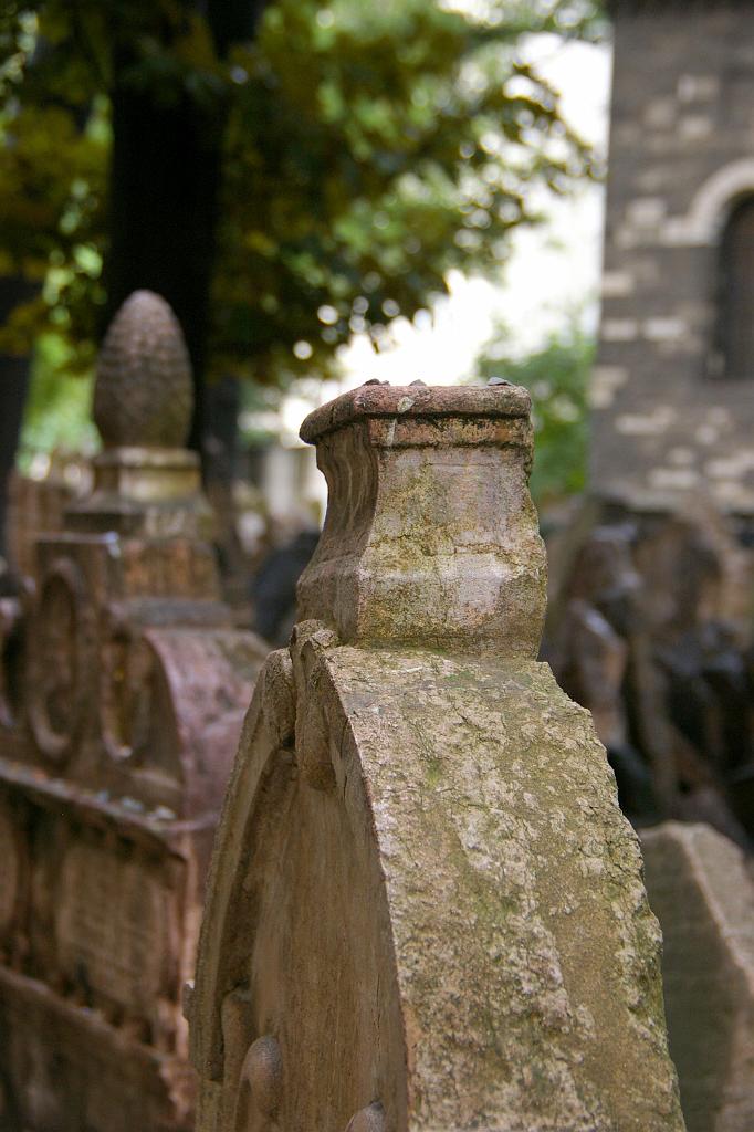 IMGP5261