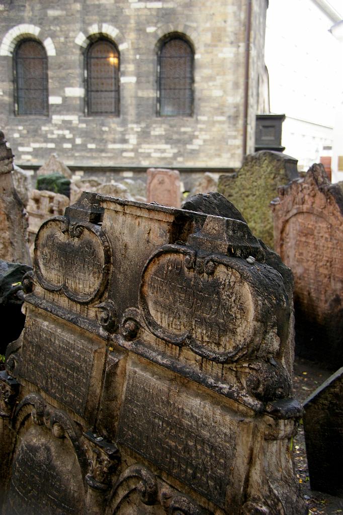 IMGP5269