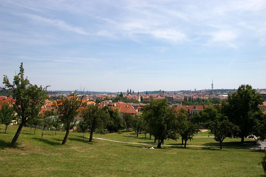 IMGP8049