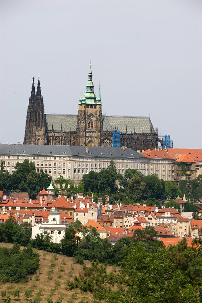 IMGP8165