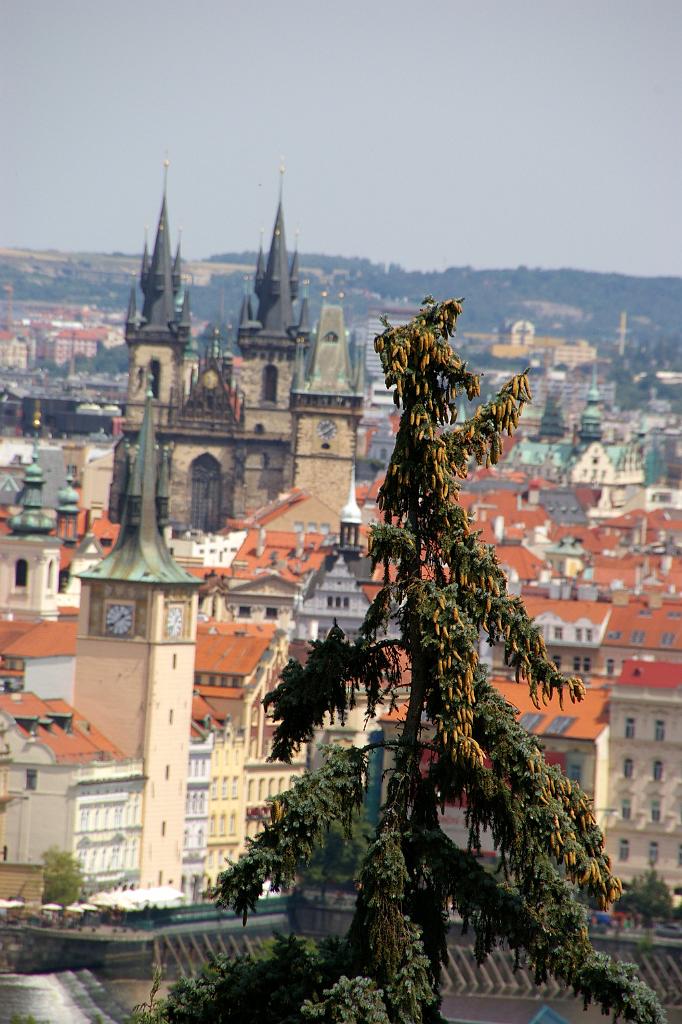 IMGP8169
