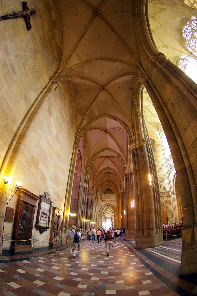 IMGP6161