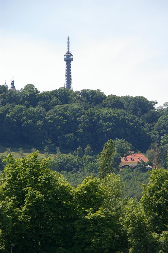 IMGP8241