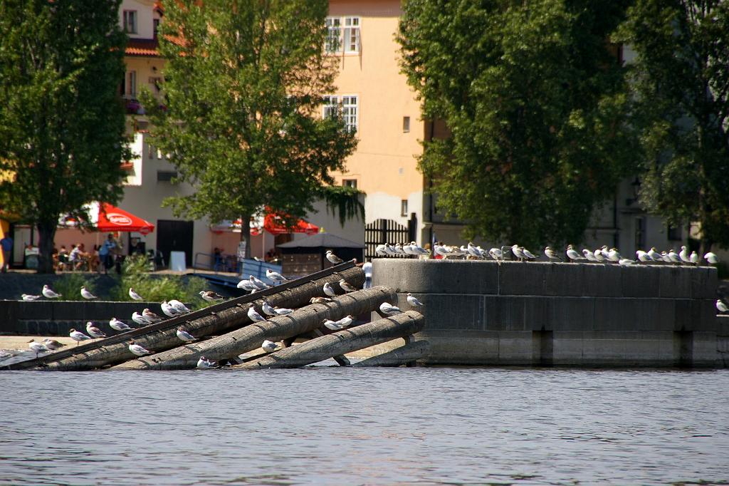 IMGP8251