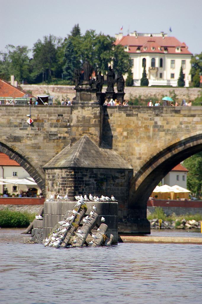 IMGP8262