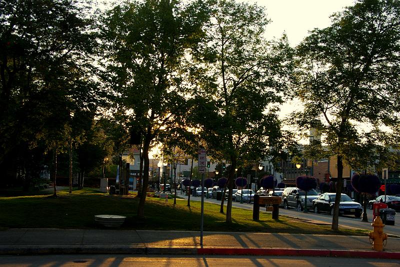 IMGP2313