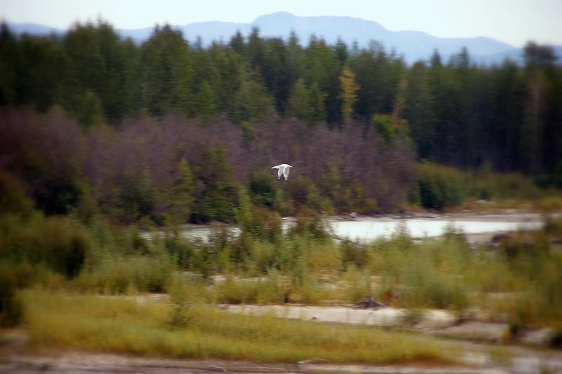 IMGP2567