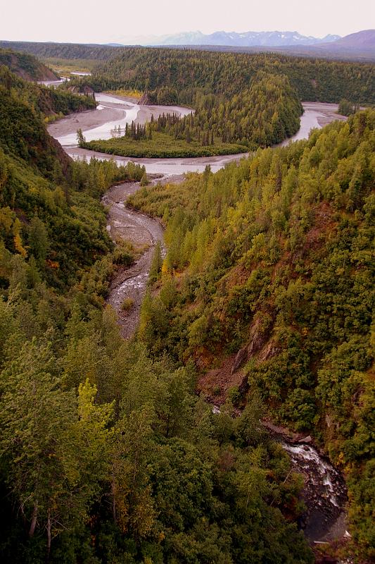 IMGP2961
