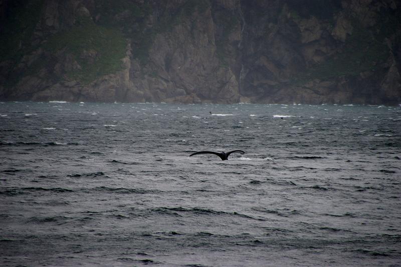 IMGP5081
