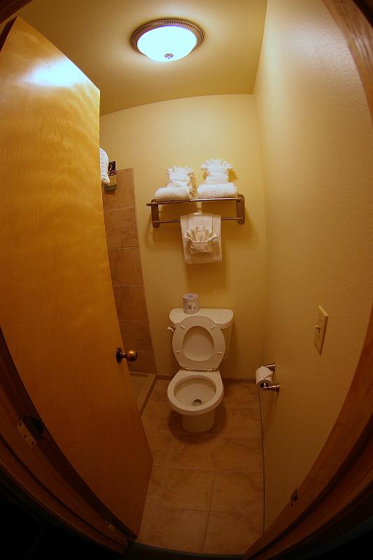IMGP3358