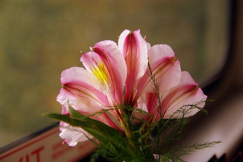 IMGP2892