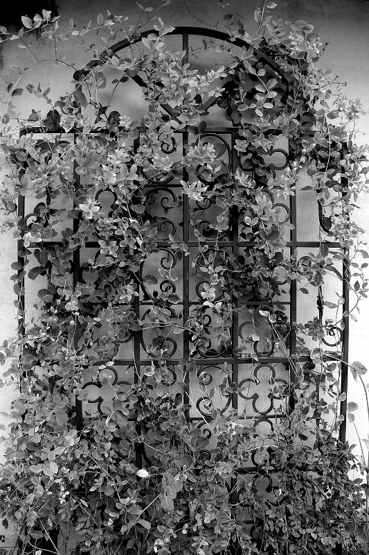 IMGP0966