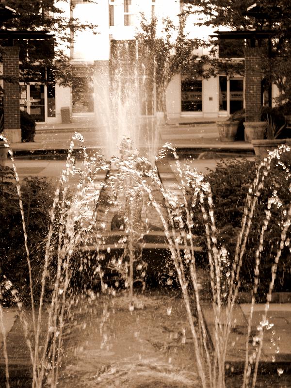 IMG_7064