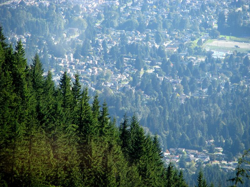 IMG_7575