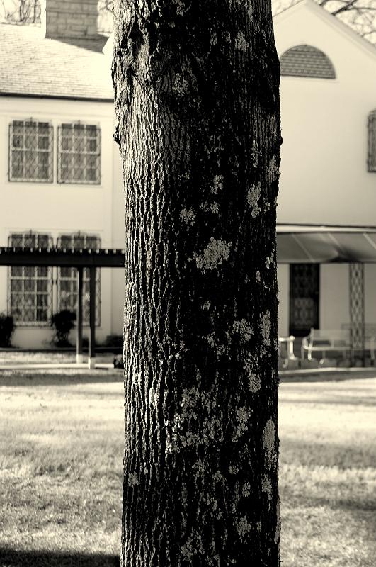 IMGP0862
