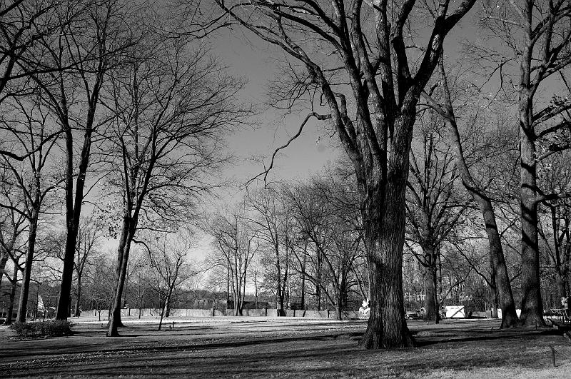 IMGP0949
