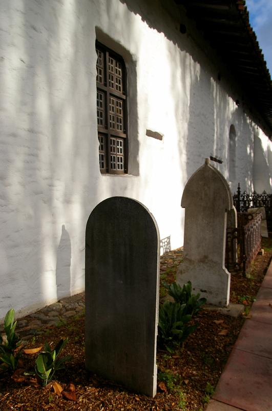 IMGP9555