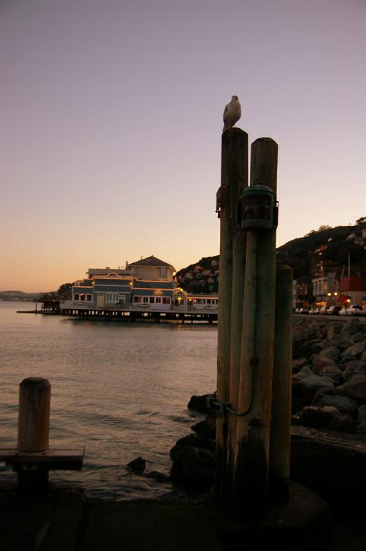 IMGP0027
