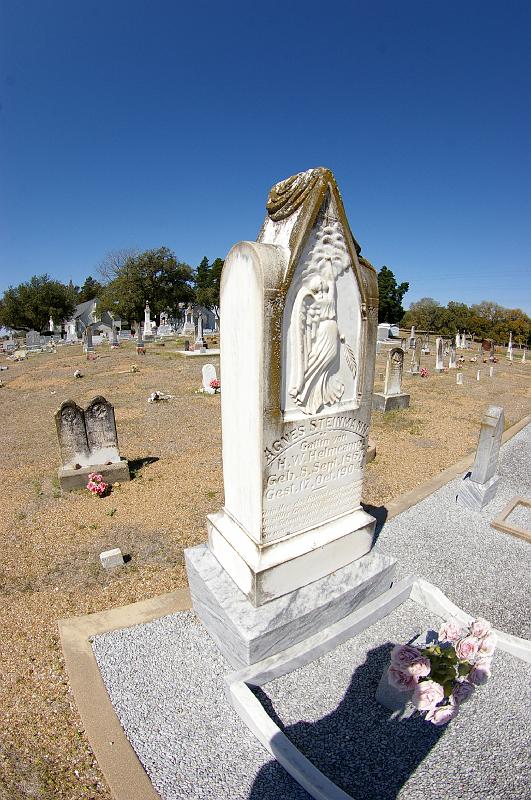 IMGP1781