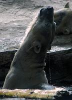 San Diego Zoo