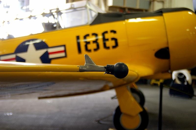 IMGP2575